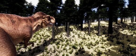 trex © Sasa Kadrijevic