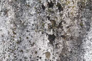 Vieux mur avec peinture qui s'ecaille