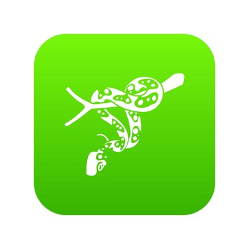 Ball python icon green vector isolated on white background