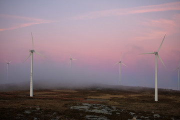 wind turbines at sunset