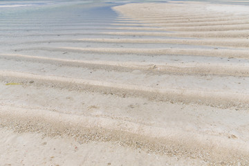 odpływ oceanu / Zanzibar