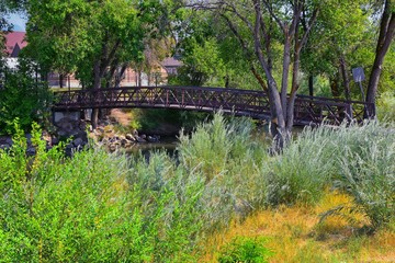 Fototapeta na wymiar Views of Jordan River Trail Pedestrian and Train Track Bridge with surrounding trees, Russian Olive, cottonwood and muddy stream along the Wasatch Front Rocky Mountains, in Salt Lake City, Utah.