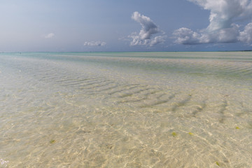 Zanzibar, odpływ oceanu,  
