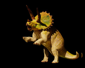 Obraz premium Triceratops horridus dinosaur in action (3d rendering isolated on black background)
