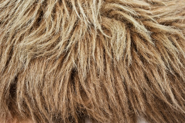 Close-up of a brown fake fur. Selective focus.