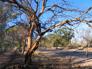 Australia. Broken Hill. Outback NSW