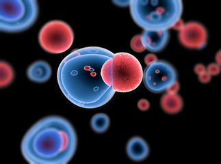 Embryonic stem cells , Cellular therapy , Regeneration , Disease treatment 