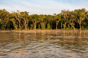 Kambodscha - Siem Reap - schwimmende Dörfer auf dem Tonle Sap