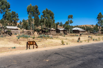 &Auml;thiopien - Fahrt von Gondar in die Simien Mountains (S&auml;men-Nationalpark)