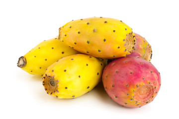 red end yellow prickly pear or opuntia isolated on a white background
