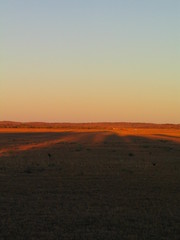 Fototapeta na wymiar Broken Hill. Outback NSW. Australua