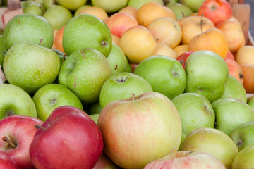 Bunch of different organic apple types displayed on sale on farmer's market stand show richness and diversity