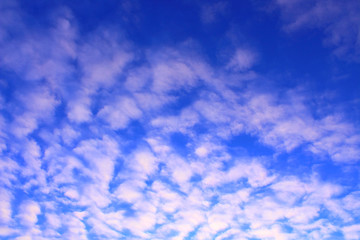 Beautiful cirrus clouds and blue sky. Background. Landscape.