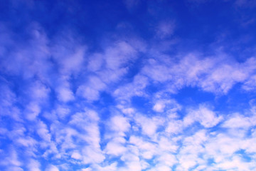 Beautiful cirrus clouds and blue sky. Background. Landscape.