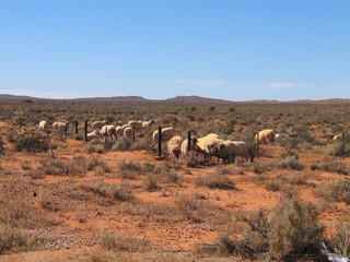 Silverton. Broken Hill. Australia