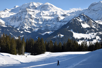 Randonneur dans l'Oberland bernois en hiver, Suisse