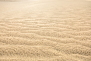 Fototapeta na wymiar Sand einer Wüste als Hintergrund