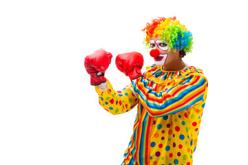 Male clown isolated on white 