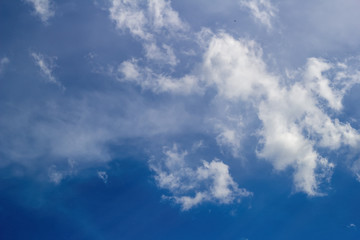 Light cumulus clouds in the blue sky