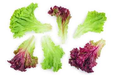 fresh red coral and green salad or lettuce isolated on the white background. Top view. Flat lay