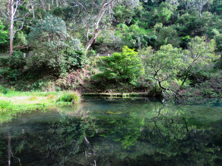 Jenolan Caves park Blue Mountains New South Wales Australia 