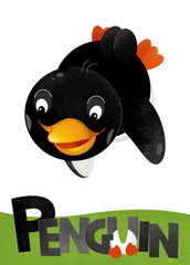 cartoon scene with penguin card on white background with name of animal - illustration for children