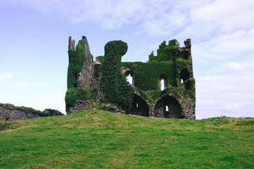 mit Efeu bewachsene Ruine aus Feldsteinen