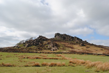 Bradgate Park