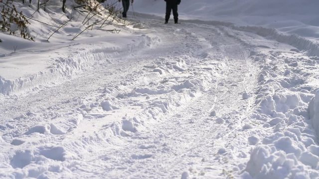 Three Men goes through snowy forest path - (4K)