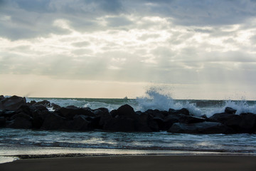 Obraz premium Fiumicino beach 14