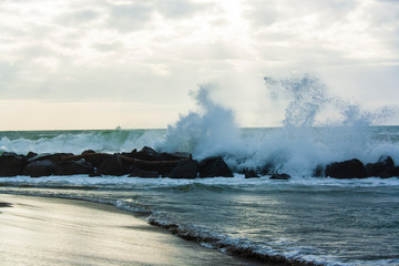 Fiumicino beach 19