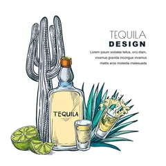 Foto op Plexiglas Tequila sketch vector illustration. Bar menu, label or package design. © Qualit Design
