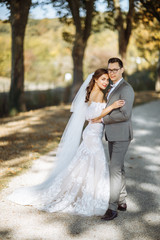 Naklejka premium Beautiful newlyweds. Bride in a luxurious white dress, the groom in a stylish suit, they are posing on the nature
