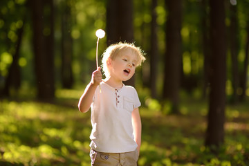 Little boy playing with dandelion fluff. Making a wish.