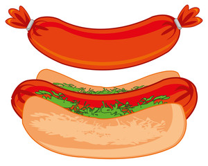 Vector illustration of meal of the quick preparation hot dog