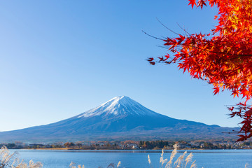 Naklejka premium 富士山と紅葉