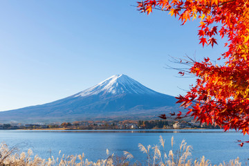 富士山と紅葉