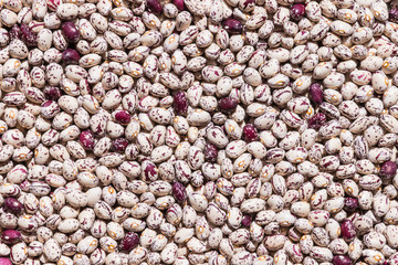 white and purple haricot beans background 
