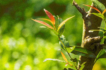 Oil Paint Style of Leaves in the Garden.