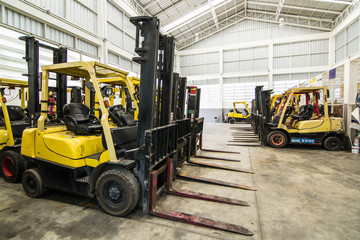 Forklifts in warehouse