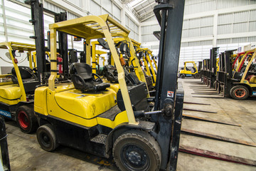Forklifts in warehouse