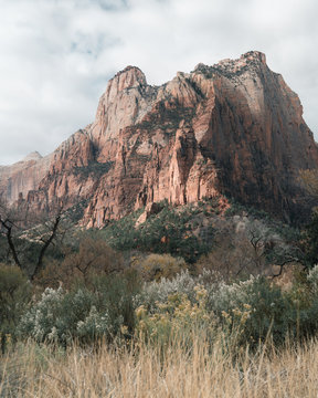 Beautiful red rocks at Zion National Park.