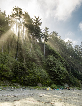 First light on Shi Shi beach