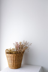 Dried plant and flower in rattan wooden basket on white table top on white wall background in natural light