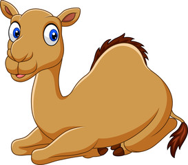 Cartoon funny camel sitting
