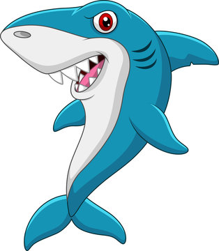 Cartoon funny shark isolated on white background