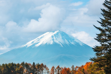 Mount Fuji View with the legendary snow cap and forest trees in the foreground from Fujikawaguchiko, a Japanese resort town at the northern foothills of Mount Fuji.