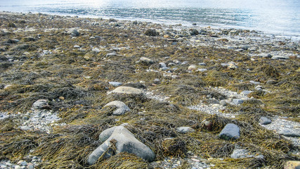 Shore in Norway