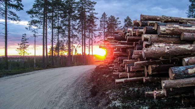 Sunset on a gravel road