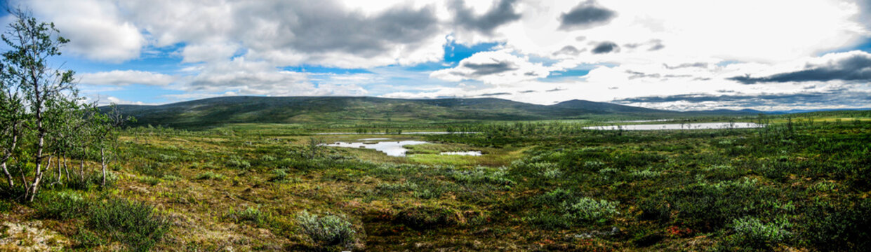 Lapland wilderness panorama